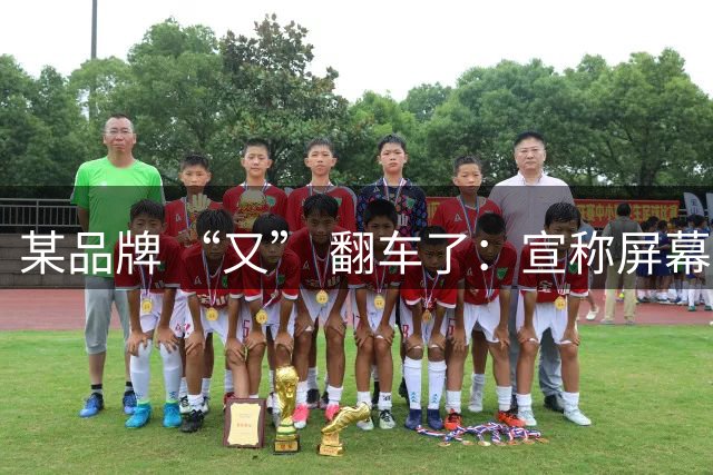 某品牌 “又” 翻车了：宣称屏幕色域为100% sRGB，实测仅约60%